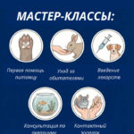 Школьные каникулы в академии