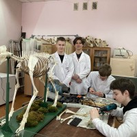 Научная студенческая жизнь на кафедре анатомии животных