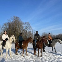 Конные прогулки собирают друзей!