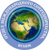 Футбольный матч в стенах академии!