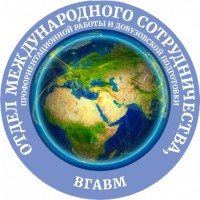 Футбольный матч в стенах академии!