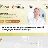 Участие в вебинаре / международное сотрудничество