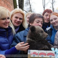 Акция «Благоустройство города»