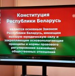 Информационно-воспитательные часы кафедры иностранных языков  ко Дню Конституции Республики Беларусь
