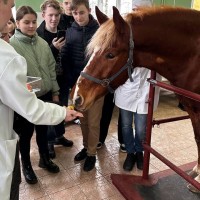 Клиническая диагностика открывает двери гостям