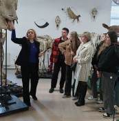 Экскурсии в музее анатомии животных в рамках Дня открытых дверей академии
