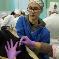 Началась итоговая аттестация студентов 6 курса факультета ветеринарной медицины заочной формы получения образования