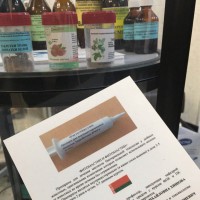 Сотрудники кафедры акушерства на “Марафоне единства”