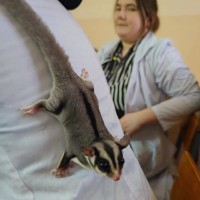 УВЛЕКАТЕЛЬНЫЕ МОМЕНТЫ ЗАНЯТИЙ