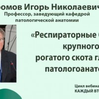 Международный вебинар: «Респираторные болезни крупного рогатого скота глазами патологоанатома»
