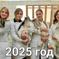 Ровно год спустя…
