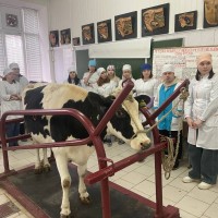 Открытое занятие