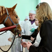 ШКОЛА ЮНОГО ВЕТЕРИНАРА