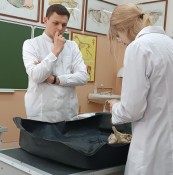 Практика у магистранта