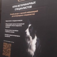 Научно-практическая Санкт-Петербургская ветеринарная конференция как фактор, способствующий повышению уровня профессиональных компетенций специалистов УО ВГАВМ