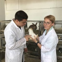 Осваиваем учебную дисциплину практически!