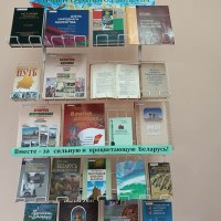 Книжная выставка в библиотеке «17 сентября – День народного единства»