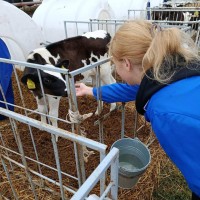 Производственная стажировка наших студентов