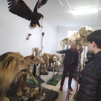 Аграрный колледж УО ВГАВМ на ознакомительной практике  в академии