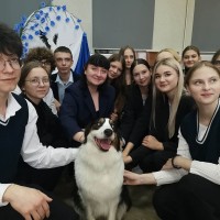 Проект “Гуманное отношение к нашим питомцам” набирает обороты