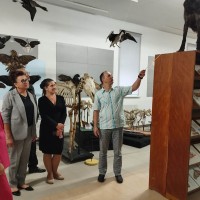 Музей открывает свои двери в новом сезоне экскурсий