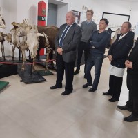 Посещение анатомического музея УО ВГАВМ сотрудниками кафедры общей, частной и оперативной хирургии