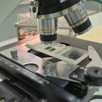 На кафедре физиологии активно работает студенческая научно-исследовательская лаборатория