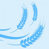 С Днем работников сельского хозяйства и перерабатывающей промышленности АПК!