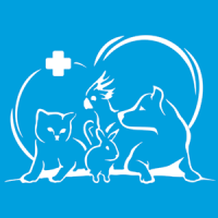 НОВЫЕ ЦЕНЫ НА УСЛУГИ КЛИНИК ВГАВМ