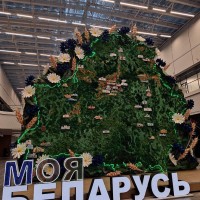 Выставка «Моя Беларусь»: Достижения и карьера в одном пространстве