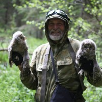 День орнитолога на кафедре зоологии