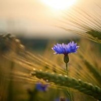 Ласкавае, цёплае, шчырае… роднае СЛОВА