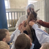 Занимательная терапия