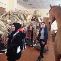 Урок-экскурсия в музей кафедры анатомии сельскохозяйственных животных и библиотеку академии