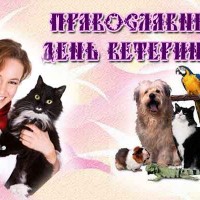 С Днём ветеринара!