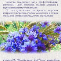 С Днем работников сельского хозяйства и перерабатывающей промышленности агропромышленного комплекса!