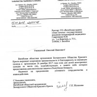 Новогодняя сказка для детей с дополнительной защитой в РБ