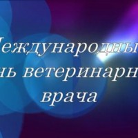 «Люблю профессию свою…»