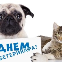 С Международным днем ветеринарного врача!