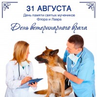 31 августа. С Днём ветеринарного работника!