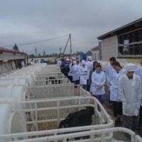 Ознакомительная практика