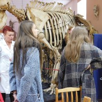 Профориентационное мероприятие  «День академии» для учащихся 10-11-х классов
