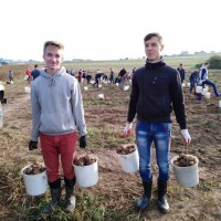Поможем стране убрать урожай!
