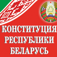 Конституционно-правовая позиция по защите конституционного строя