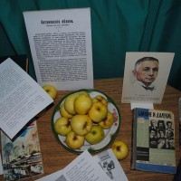 КАФЕДРА ИНОСТРАННЫХ ЯЗЫКОВ И БИБЛИОТЕКА АКАДЕМИИ: РАБОТА СООБЩА ПЛОДОТВОРНА И МНОГОГРАННА