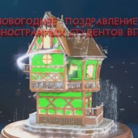 Новогоднее поздравление иностранных студентов УО ВГАВМ!