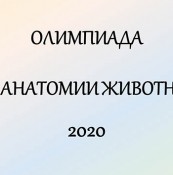 Состоялась олимпиада по анатомии животных среди студентов 2 курса ФВМ