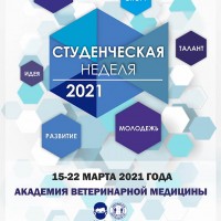 Студнеделя-2021. День 1. День 2