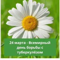 Приняли участие в акции «Белая ромашка»