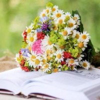 День библиотек под девизом «Хто куды, а я ў бібліятэку…»